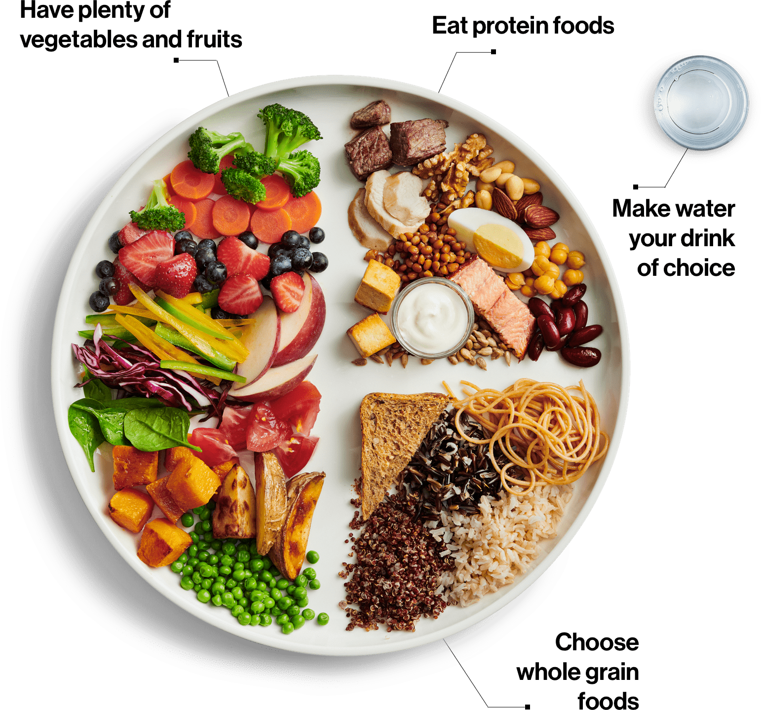 New food guide encourages healthy eating — the university clearly does not