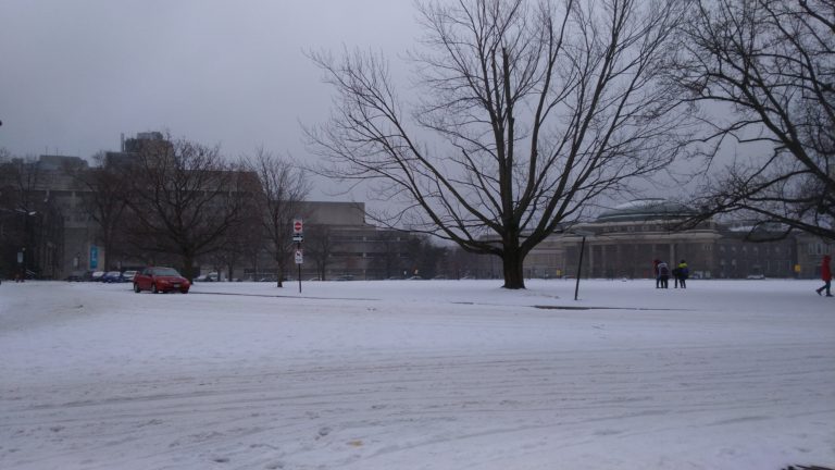 U of T’s bureaucratic inefficiency | The Innis Herald