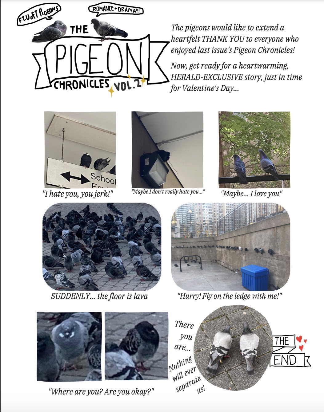 The Pigeon Chronicles Vol.2