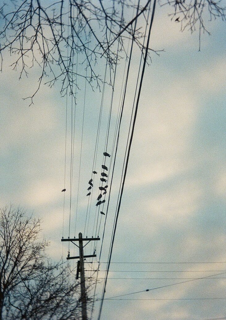 The Air is Light Blue Today