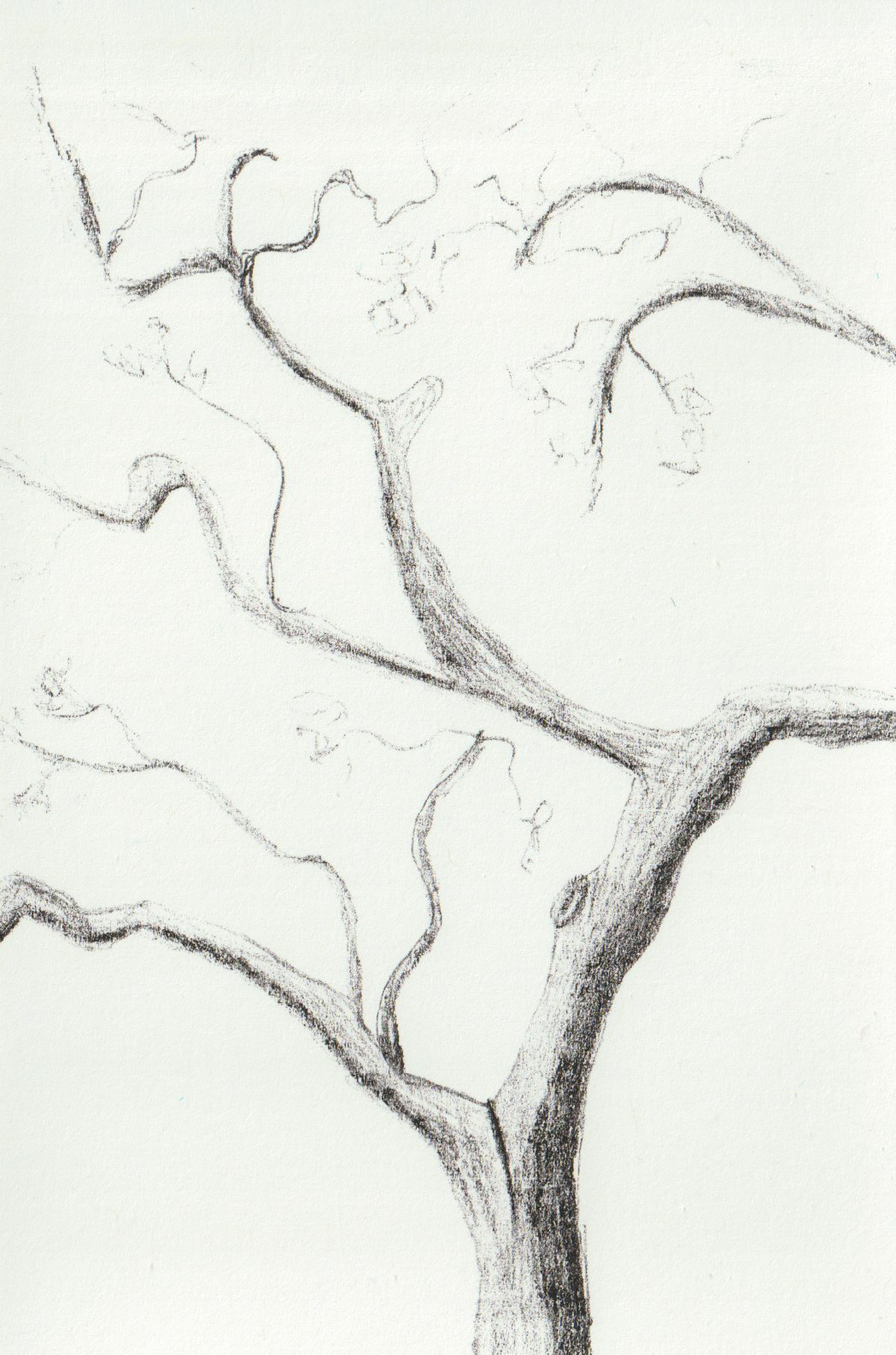 Monoprints and Other Inheritances