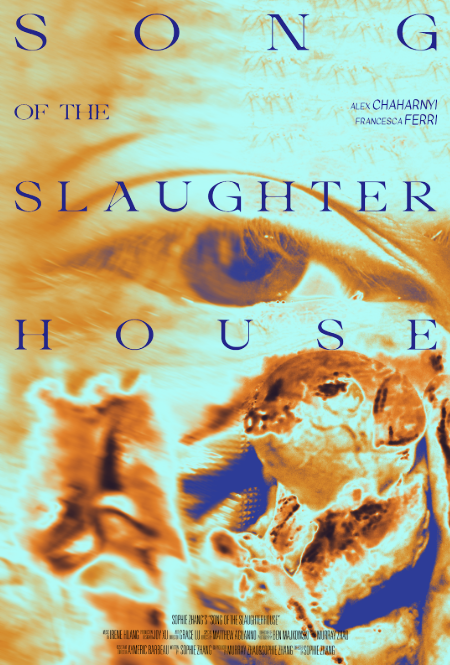 Filmmaking as a Student: Sophie Zhang on Her Debut Short and U of T’s Creative Networks